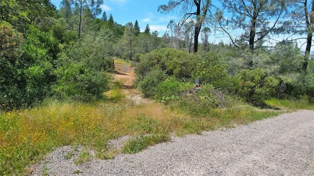 12934 Wild Acres Way Oregon House, CA 95962