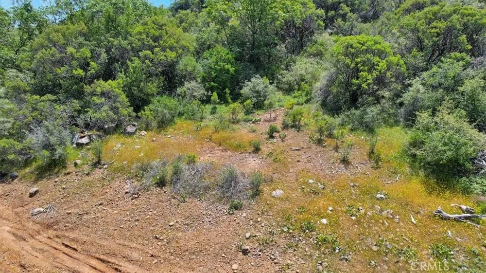 12934 Wild Acres Way Oregon House, CA 95962