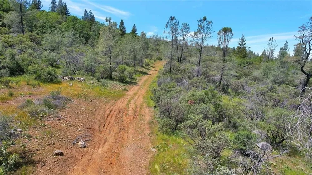 12934 Wild Acres Way Oregon House, CA 95962