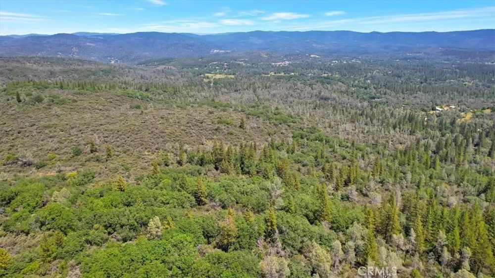 12934 Wild Acres Way Oregon House, CA 95962