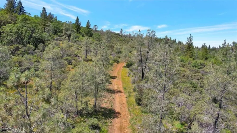 12934 Wild Acres Way Oregon House, CA 95962
