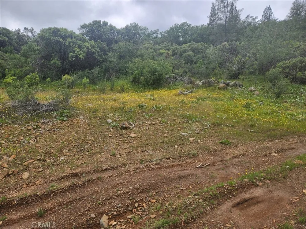 12934 Wild Acres Way Oregon House, CA 95962