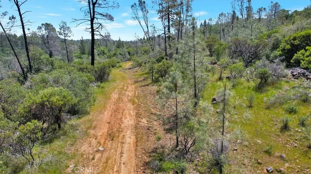12934 Wild Acres Way Oregon House, CA 95962