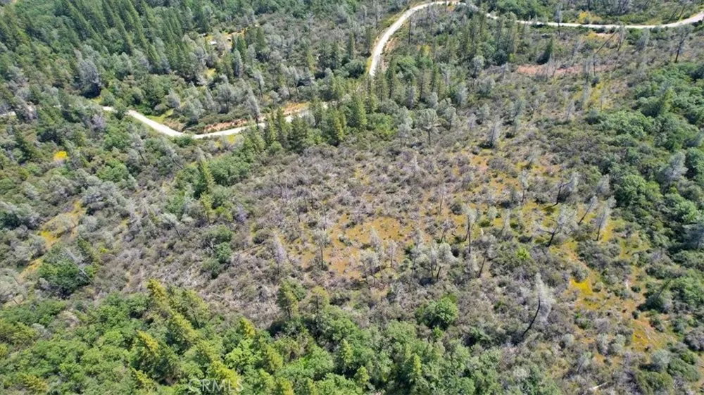 12934 Wild Acres Way Oregon House, CA 95962