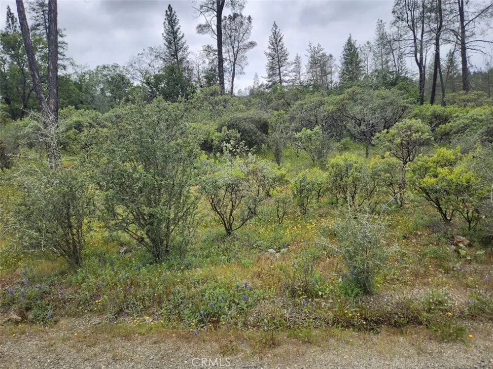 12934 Wild Acres Way Oregon House, CA 95962