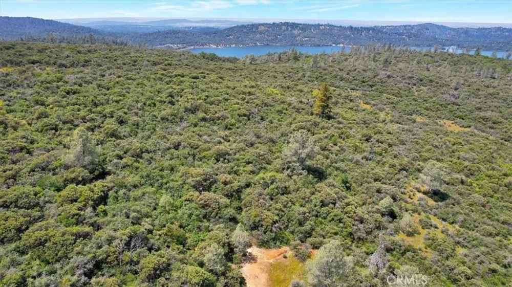 12934 Wild Acres Way Oregon House, CA 95962