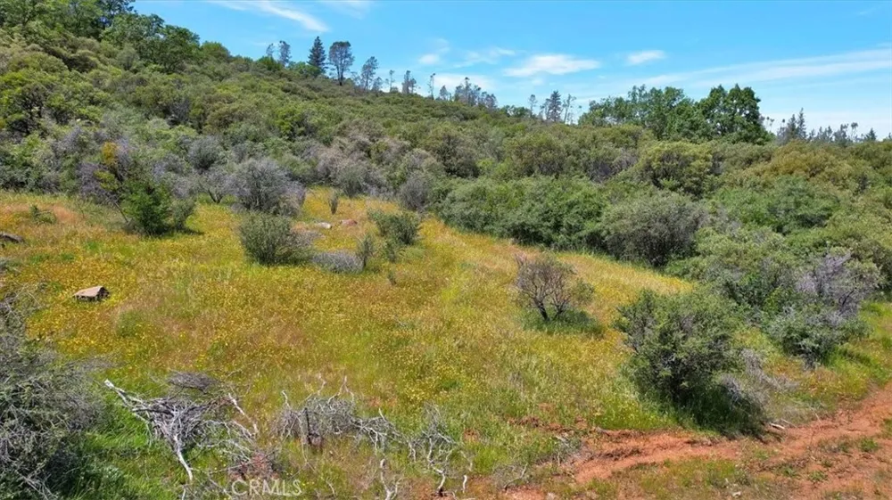12934 Wild Acres Way Oregon House, CA 95962