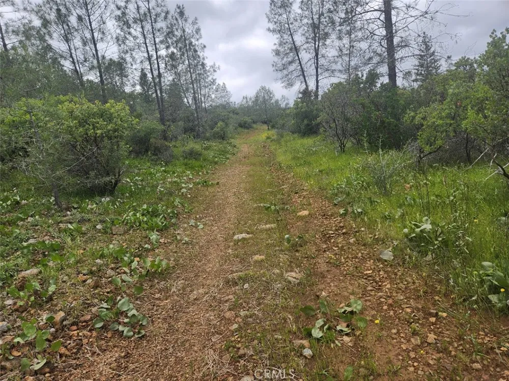 12934 Wild Acres Way Oregon House, CA 95962
