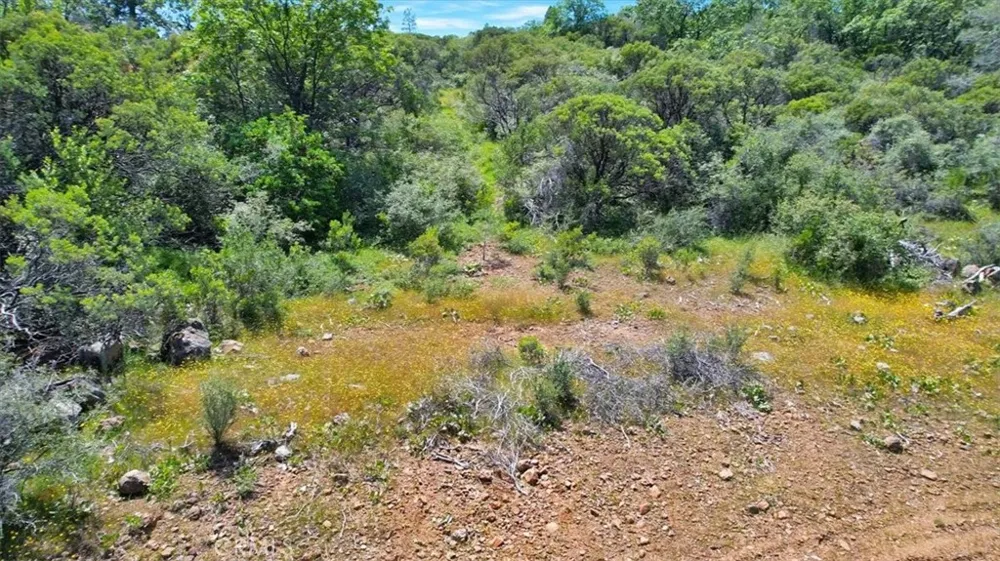 12934 Wild Acres Way Oregon House, CA 95962