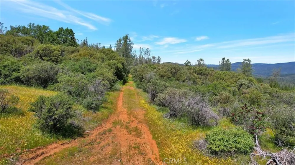 12934 Wild Acres Way Oregon House, CA 95962
