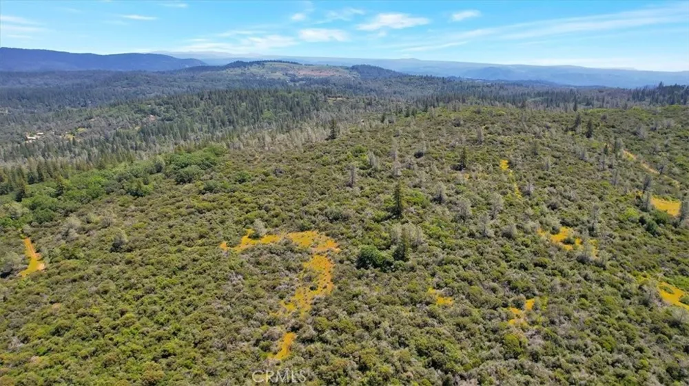 12934 Wild Acres Way Oregon House, CA 95962
