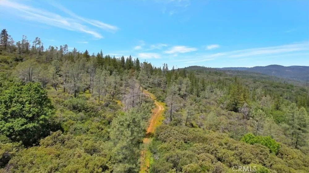 12934 Wild Acres Way Oregon House, CA 95962