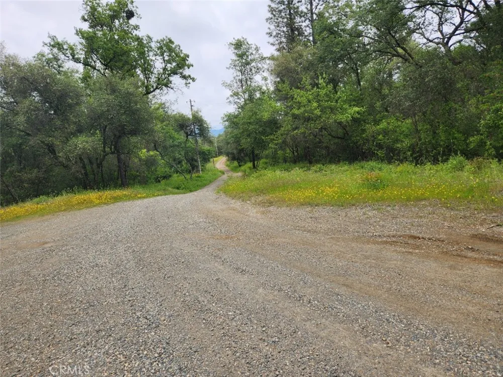 12934 Wild Acres Way Oregon House, CA 95962