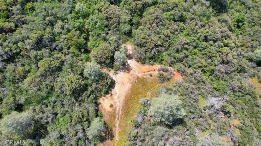 12934 Wild Acres Way Oregon House, CA 95962