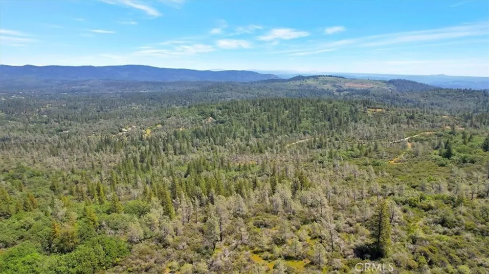 12934 Wild Acres Way Oregon House, CA 95962