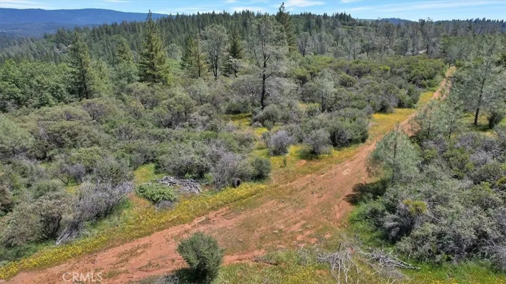 12934 Wild Acres Way Oregon House, CA 95962