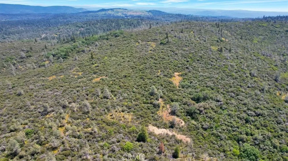12934 Wild Acres Way Oregon House, CA 95962