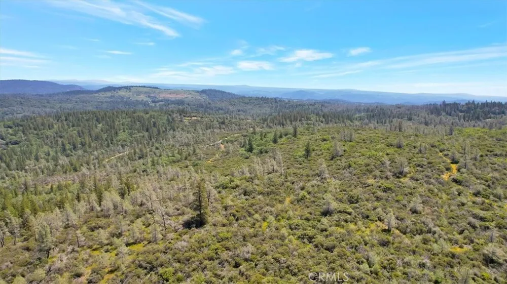 12934 Wild Acres Way Oregon House, CA 95962
