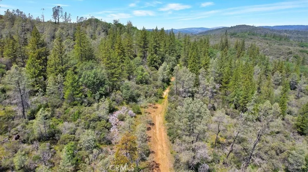 12934 Wild Acres Way Oregon House, CA 95962