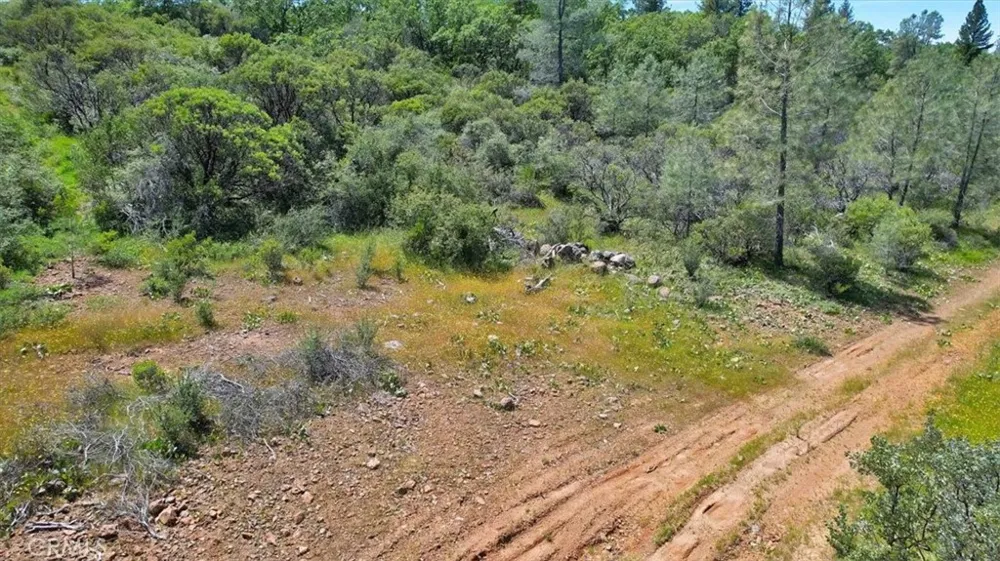 12934 Wild Acres Way Oregon House, CA 95962