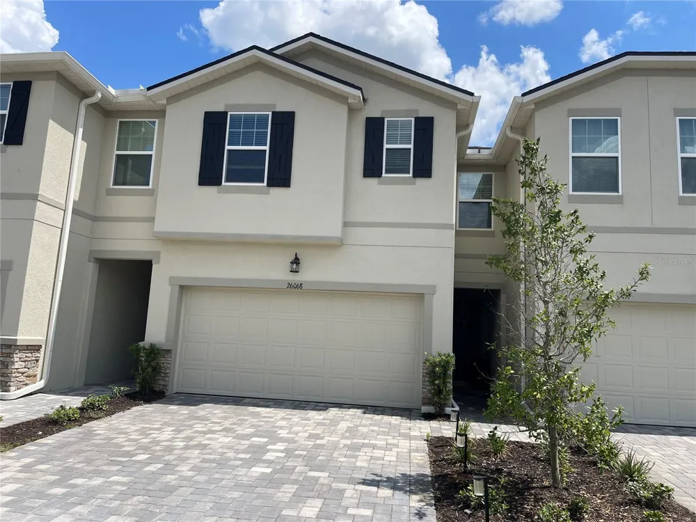 26068 WOVEN WICKER BEND Lutz, FL 33559
