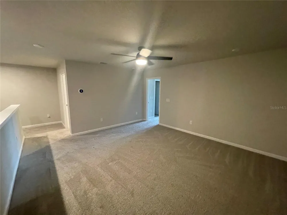26068 WOVEN WICKER BEND Lutz, FL 33559