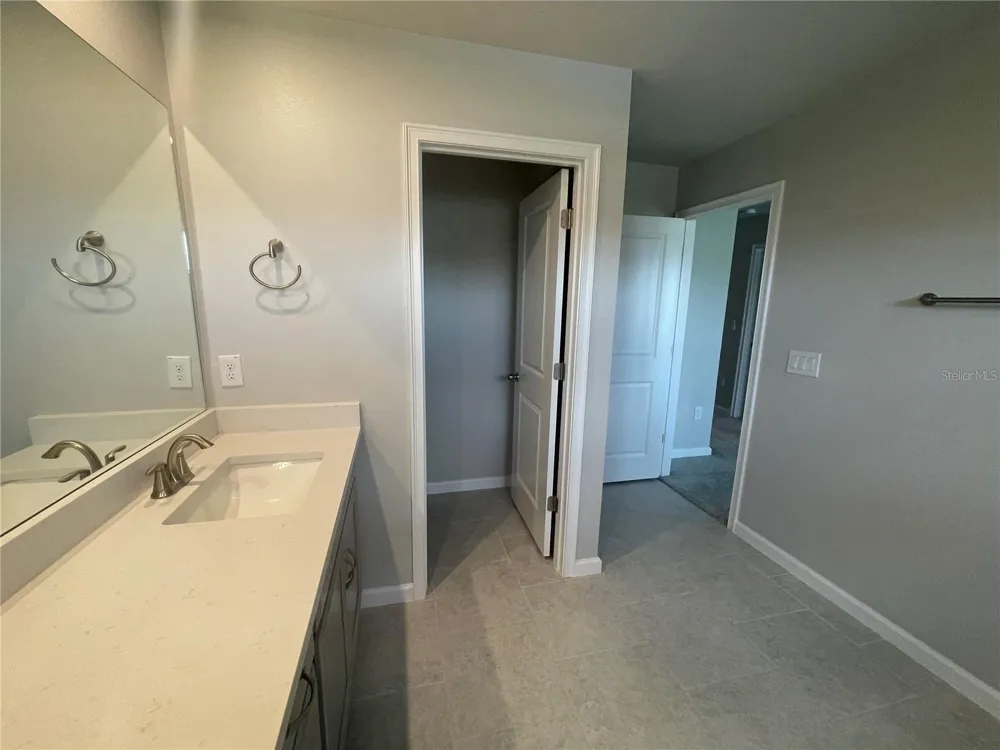 26068 WOVEN WICKER BEND Lutz, FL 33559