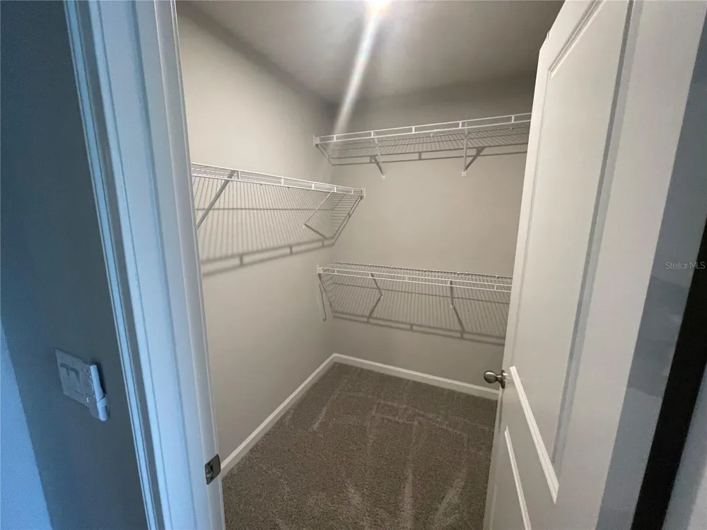 26068 WOVEN WICKER BEND Lutz, FL 33559