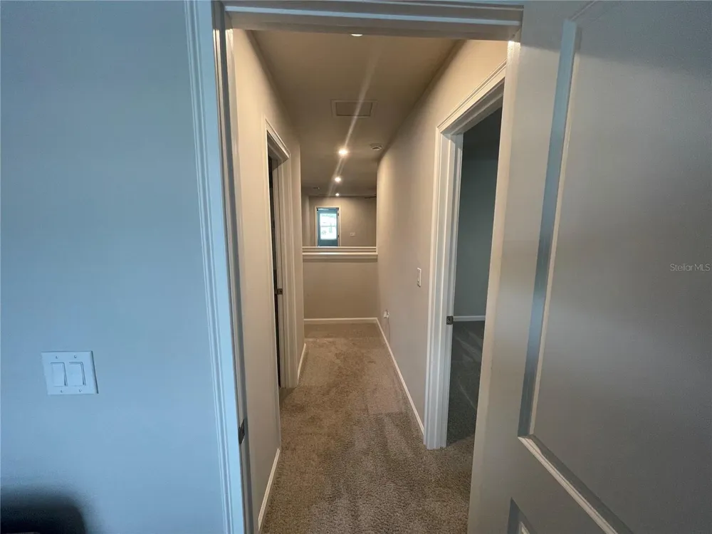 26068 WOVEN WICKER BEND Lutz, FL 33559