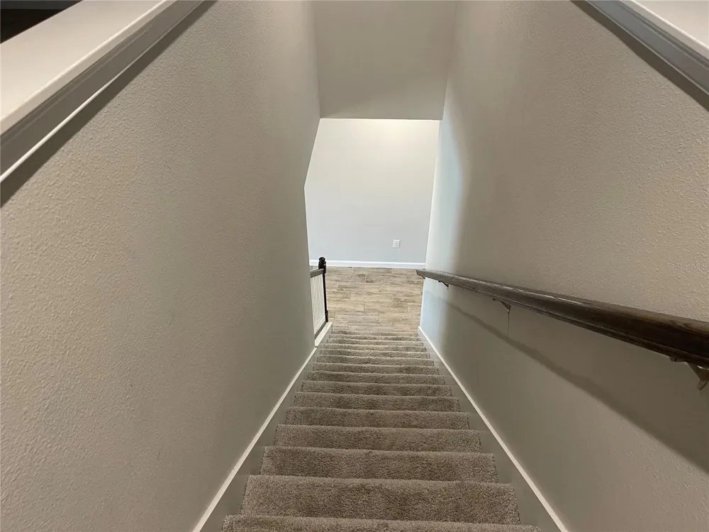 26068 WOVEN WICKER BEND Lutz, FL 33559