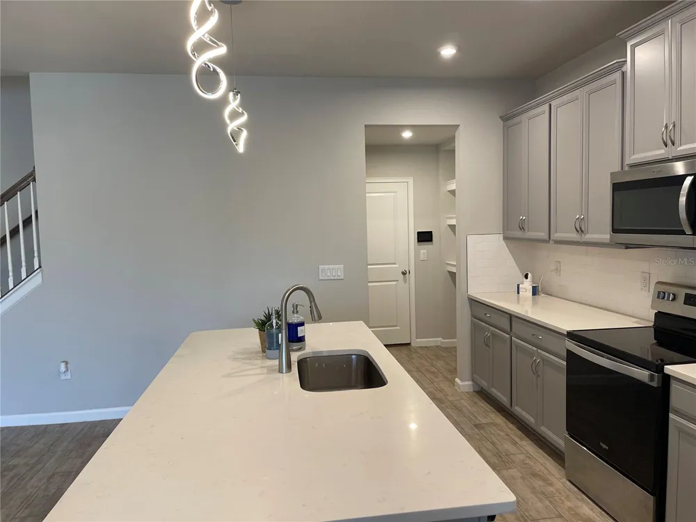 26068 WOVEN WICKER BEND Lutz, FL 33559