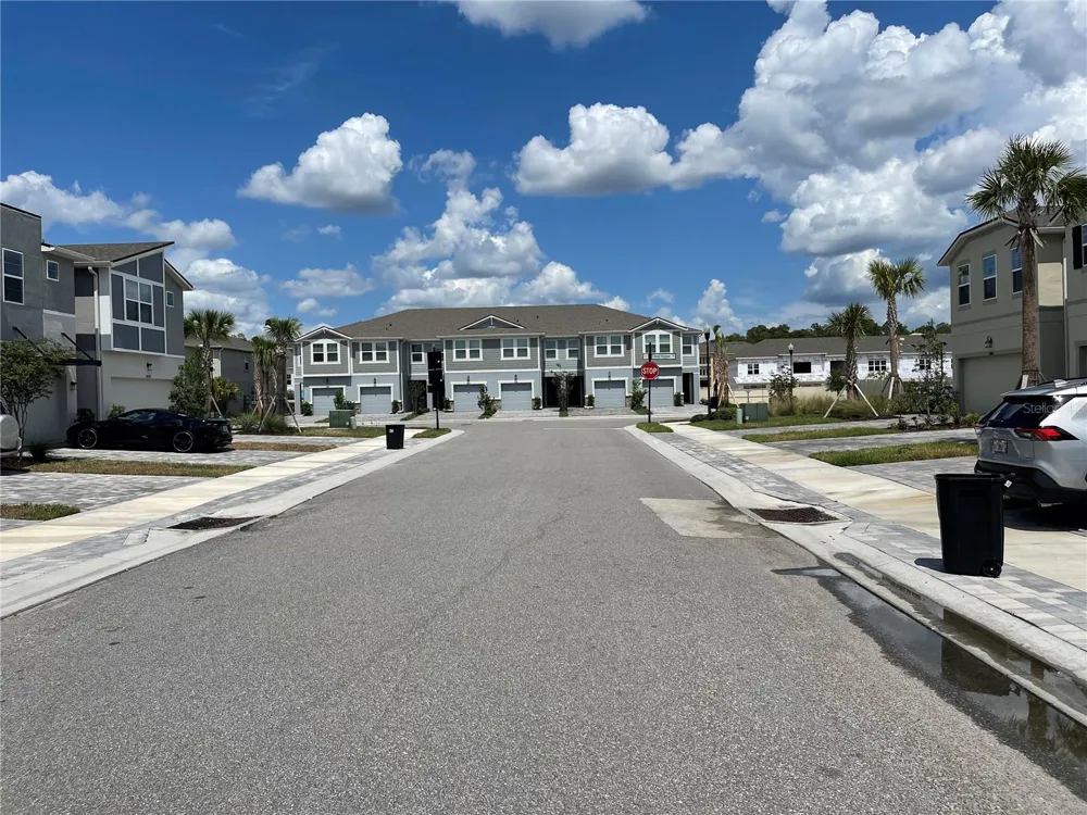 26068 WOVEN WICKER BEND Lutz, FL 33559