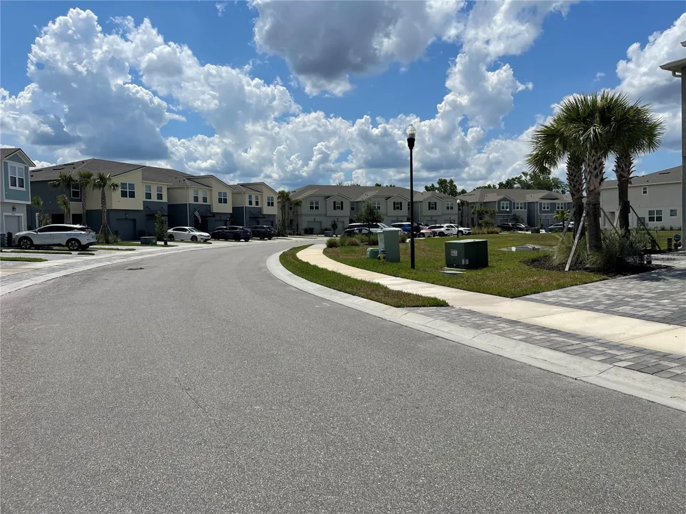 26068 WOVEN WICKER BEND Lutz, FL 33559