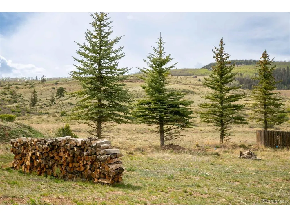 227 Bee McClure Drive Creede, CO 81130