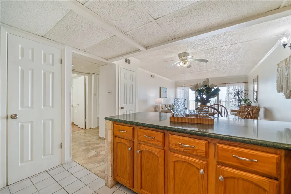 202 Reef Avenue #506 Corpus Christi, TX 78402