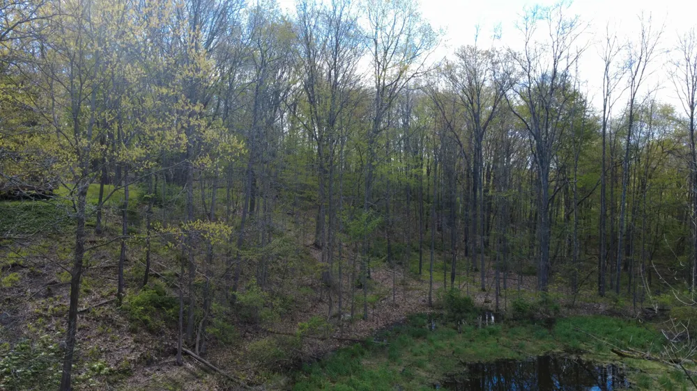 Valley Gate Milford, MI 48380