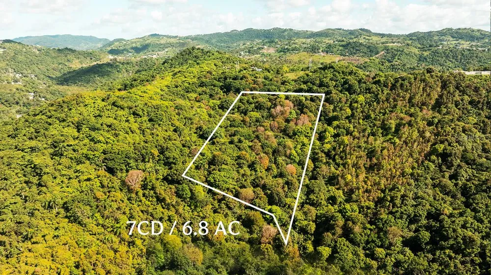 Carr 853 BO. CACAO LOTE 15 Carolina, PR 00987