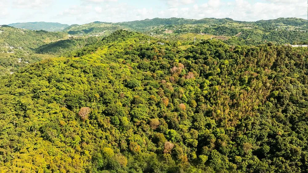 Carr 853 BO. CACAO LOTE 15 Carolina, PR 00987