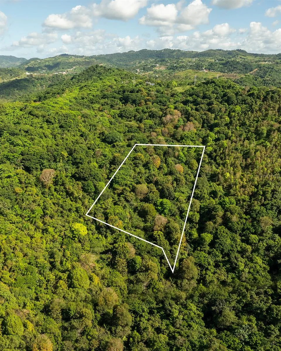 Carr 853 BO. CACAO LOTE 15 Carolina, PR 00987