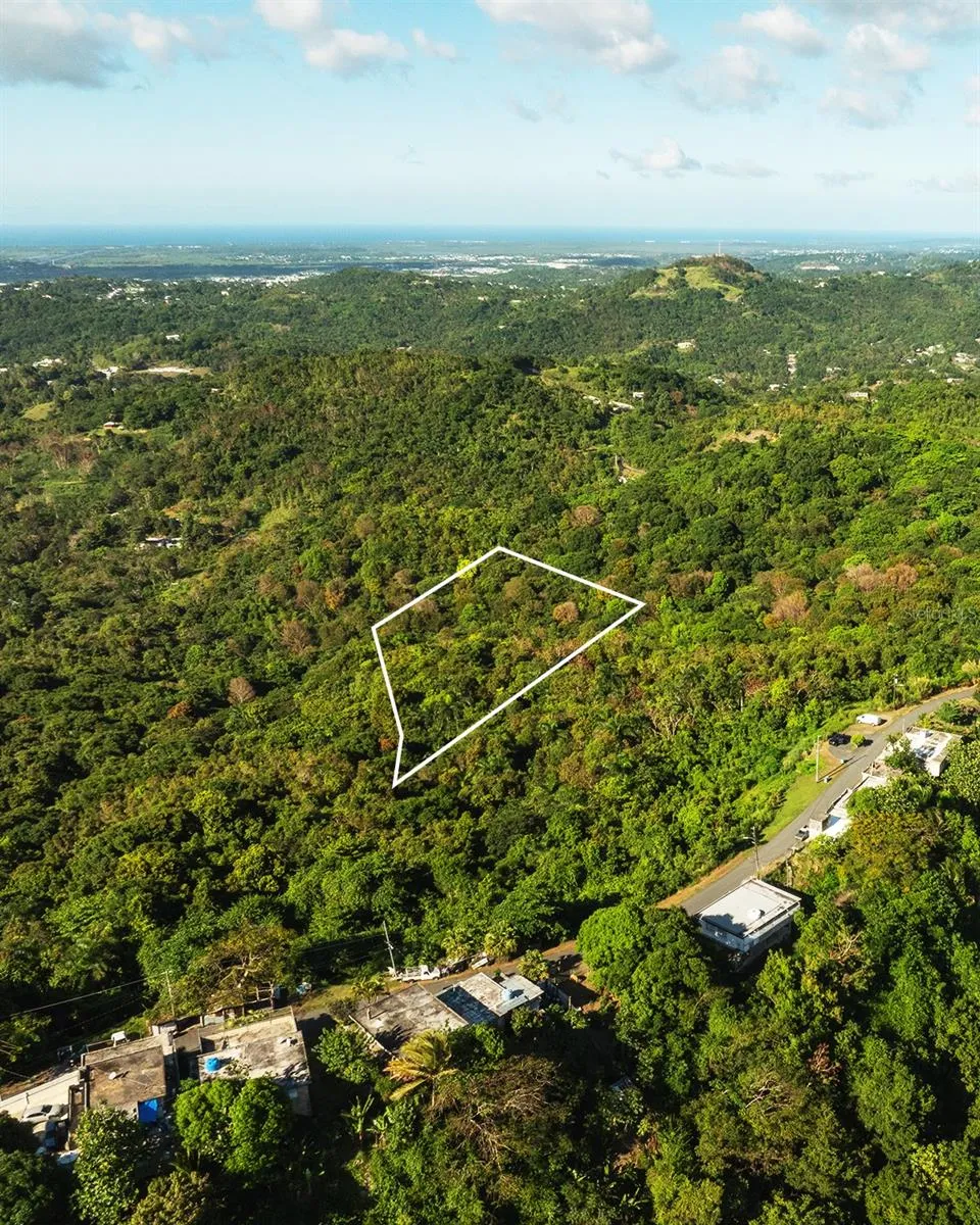 Carr 853 BO. CACAO LOTE 15 Carolina, PR 00987