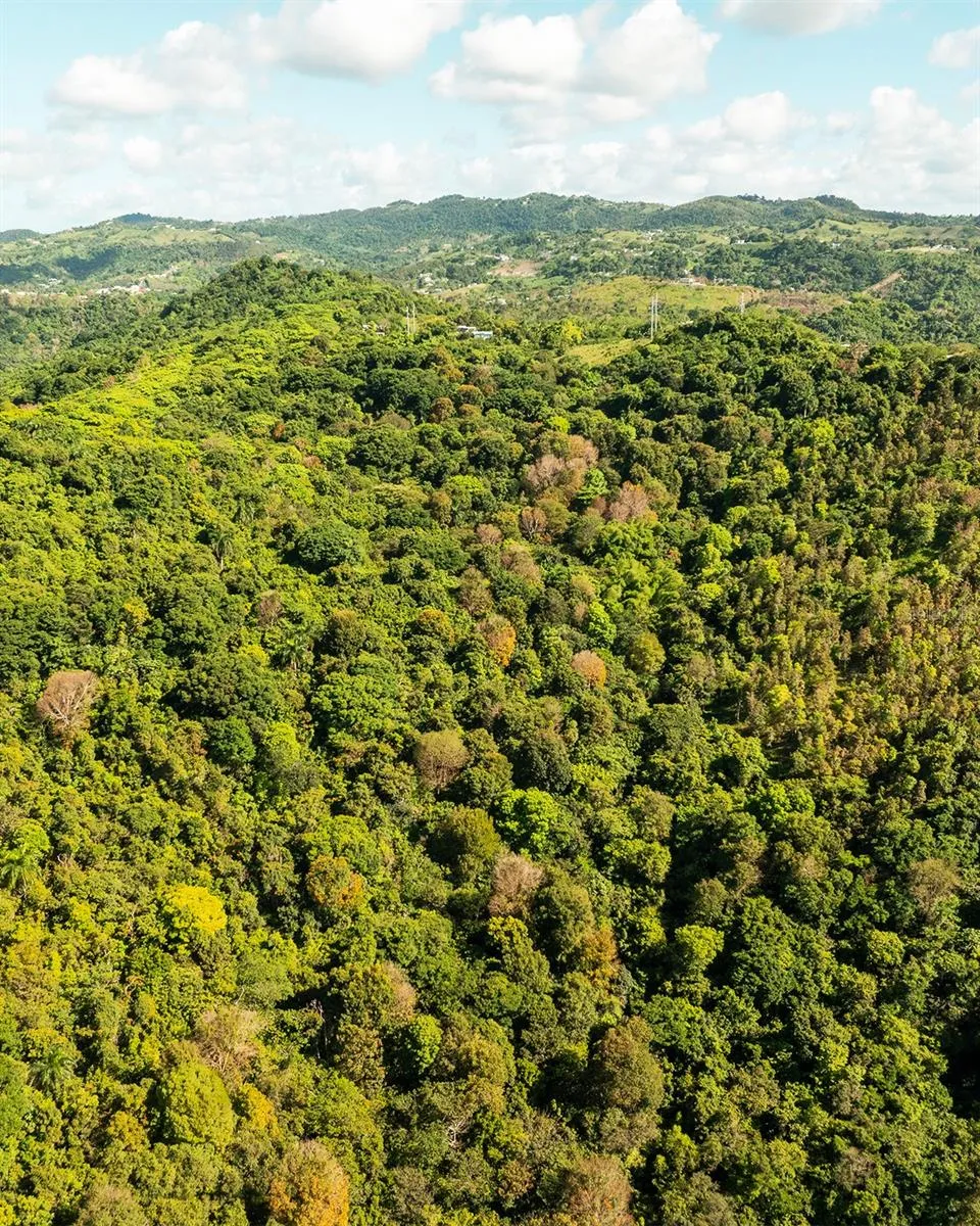 Carr 853 BO. CACAO LOTE 15 Carolina, PR 00987