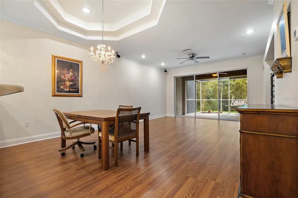 7245 CLEOPATRA DRIVE Land O Lakes, FL 34637