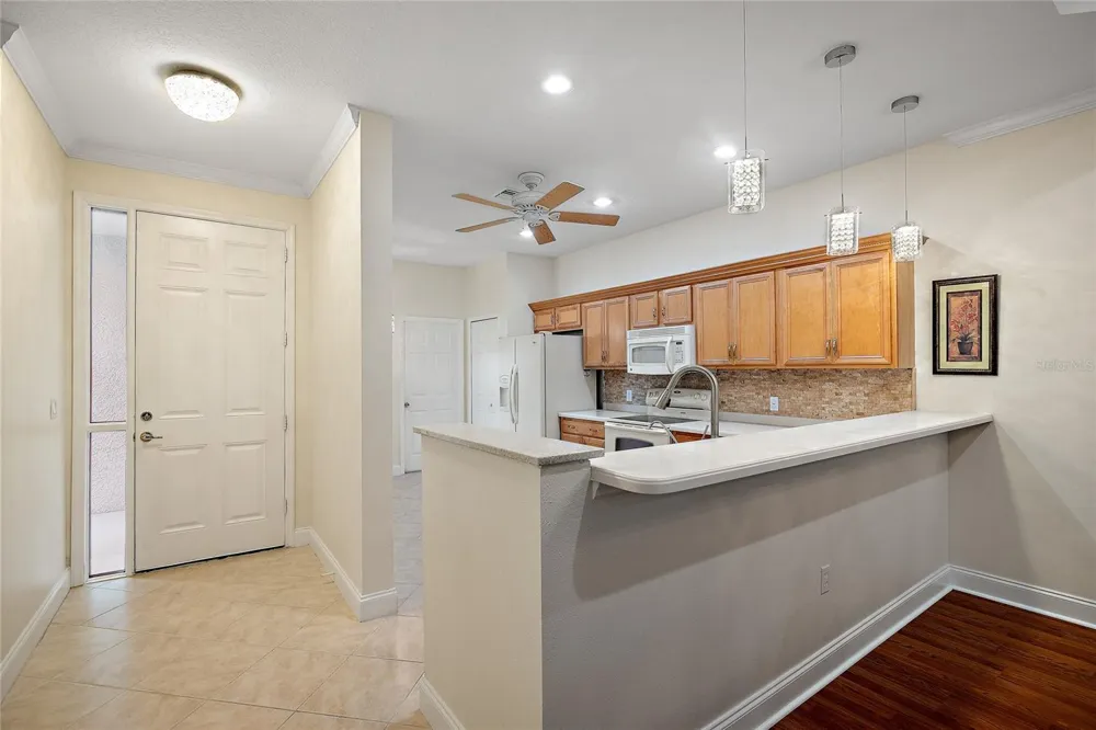 7245 CLEOPATRA DRIVE Land O Lakes, FL 34637