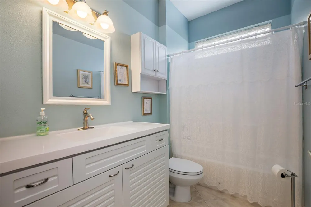 7245 CLEOPATRA DRIVE Land O Lakes, FL 34637