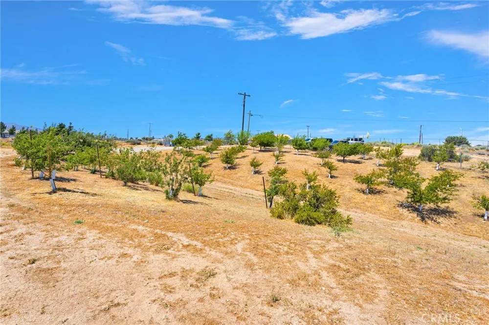 5137 Cygnet Phelan, CA 92371
