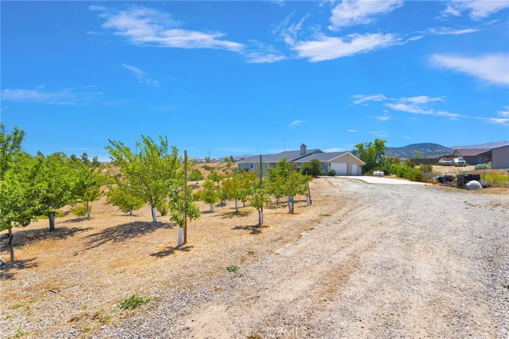 5137 Cygnet Phelan, CA 92371