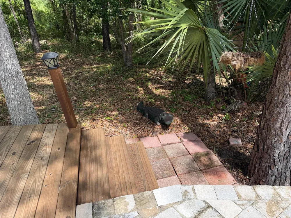 2853 NE 104TH TERRACE Silver Springs, FL 34488