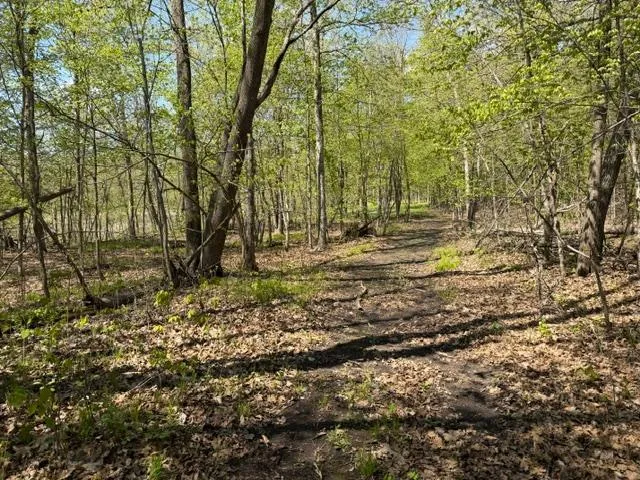 48990 County Highway 17 Vergas, MN 56587