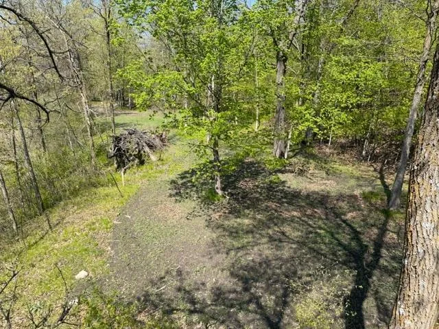 48990 County Highway 17 Vergas, MN 56587