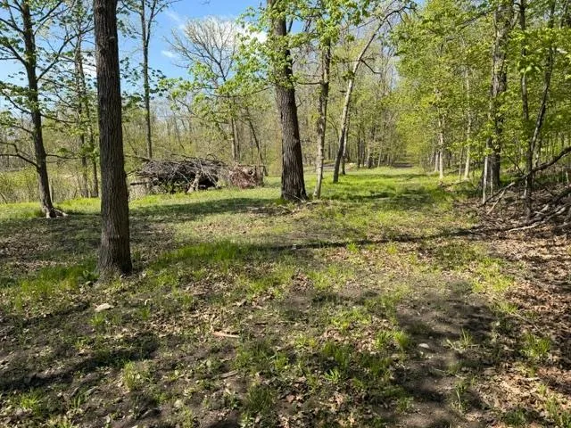 48990 County Highway 17 Vergas, MN 56587